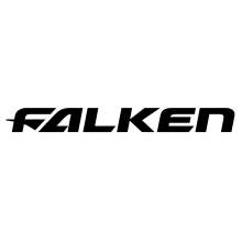 FALKEN 001