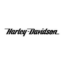 HARLEY DAVIDSON 005