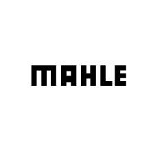 MAHLE 001