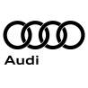AUDI 2009 001